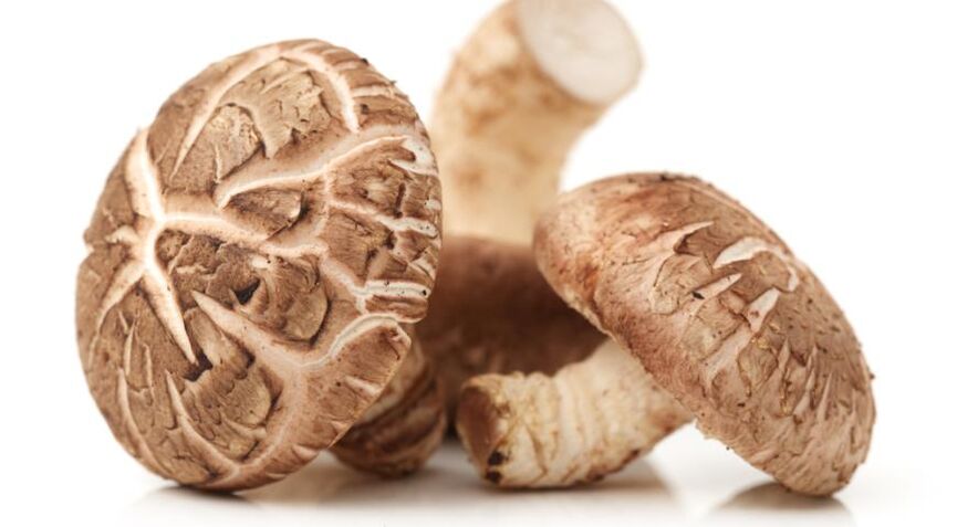 Ciupercile Shiitake fac parte din Prostamin Forte