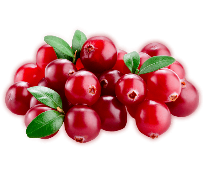 Prostamin Forte conține afine roșii